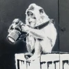 @TheCronista@pixey.org avatar
