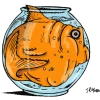 JRMora avatar