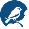 moixo avatar
